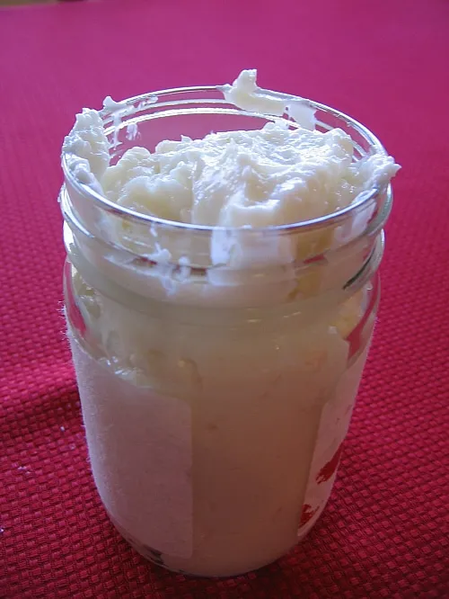 Toum | Lebanese Garlic Sauce Recipe