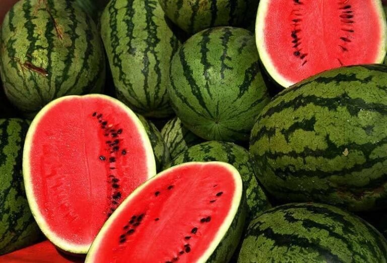 Refreshing Watermelon Smoothie