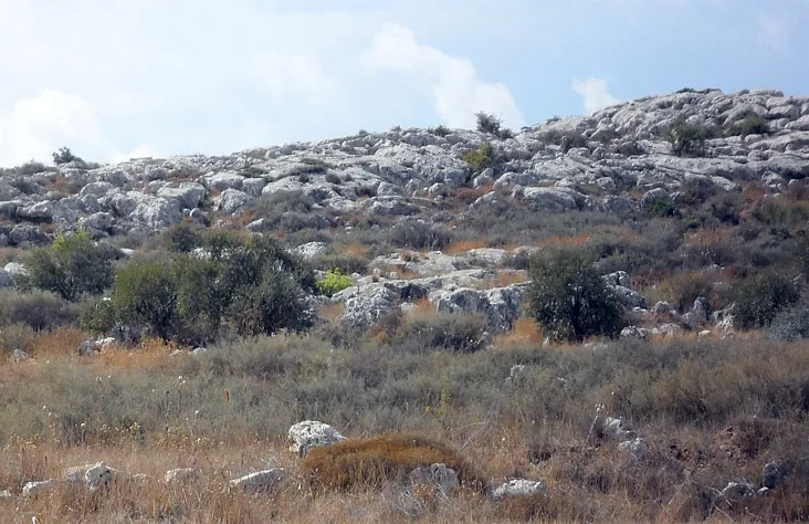 Wilderness of Amioun, Koura, Lebanon Zaatar Recipe