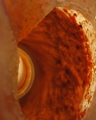 Muhammara In the Processor