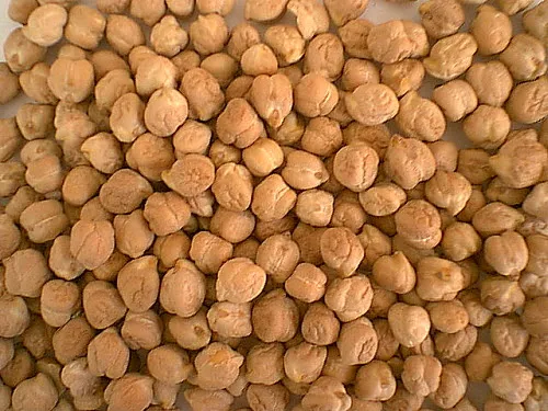 Chickpeas - Hummus Chickpeas - Hummus