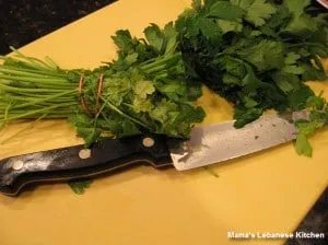 Chopped Parsley