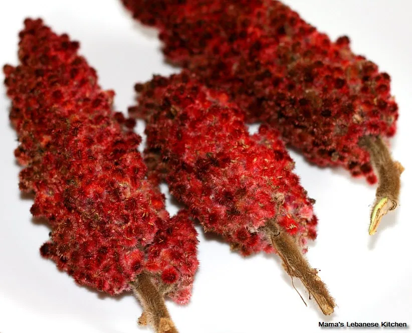Sumac Drink Benefits