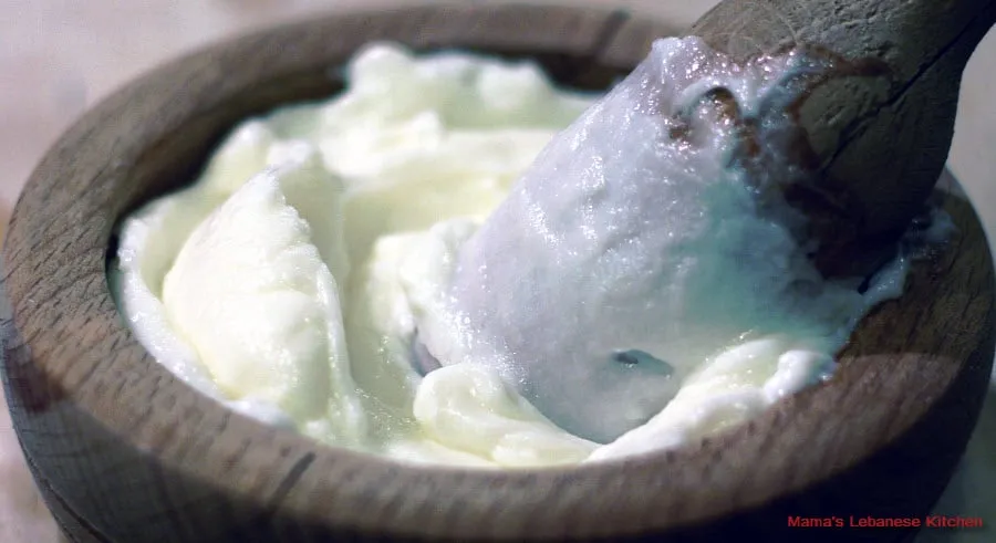 Lebanese Garlic Dip Paste - Lebanese Garlic Sauce