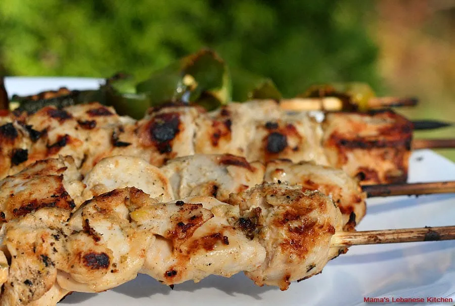 Lebanese Shish Tawook Recipe