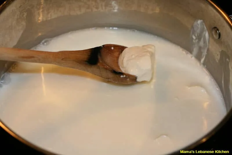 Boil Labneh with water on low heat, while stirring Shish Barak Lebanese