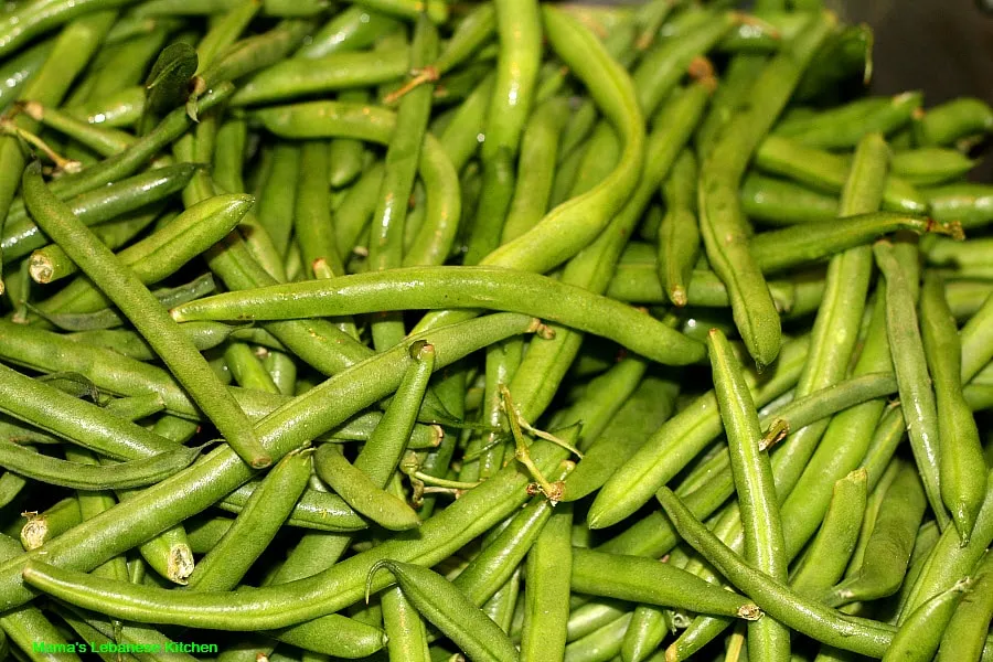 Green Beans Green Beans For Loubieh Bi Zait