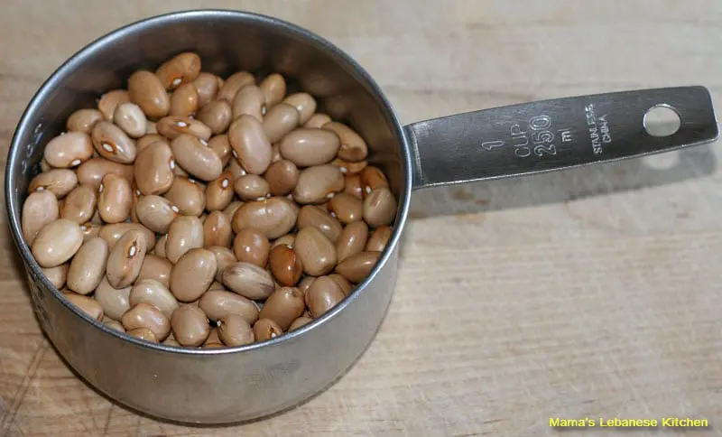 Fasolia Beans Fasolia Beans