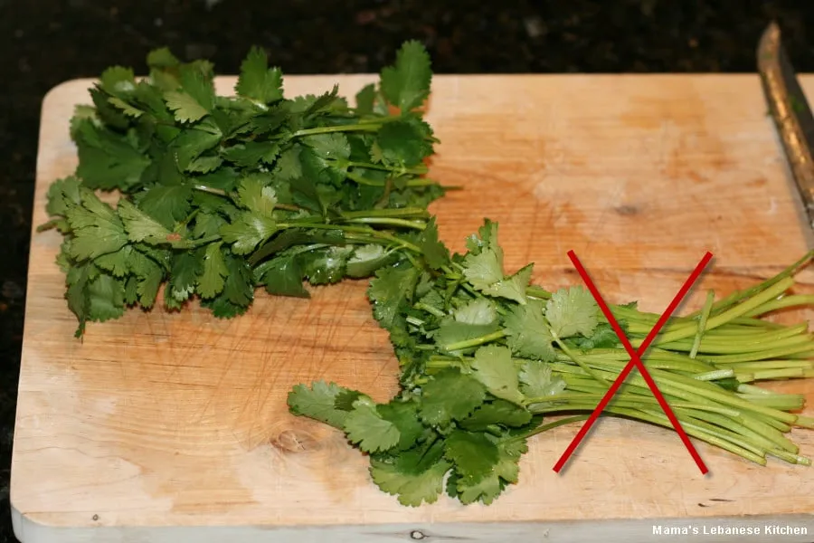 Discard Cilantro Stems Then Chop Leaves Potatoes in Garlic and Cilantro Recipe
