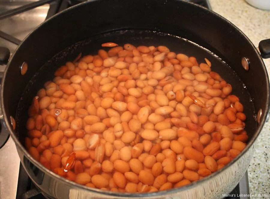 Lebanese Mujadara