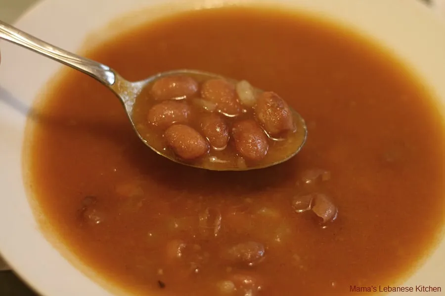 Vegan Lebanese Haricot Stew