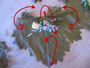 How to Fold Grape Leaves