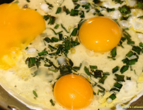 Scrambled Eggs Recipe