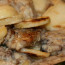 Baked Garlic Chicken and Potatoes – Djej w Batata Bil Sayniyyeh