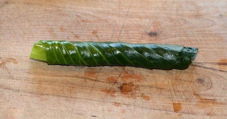 Roll from the edge, very tightly