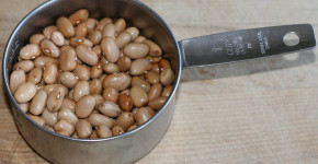 Fasolia Beans